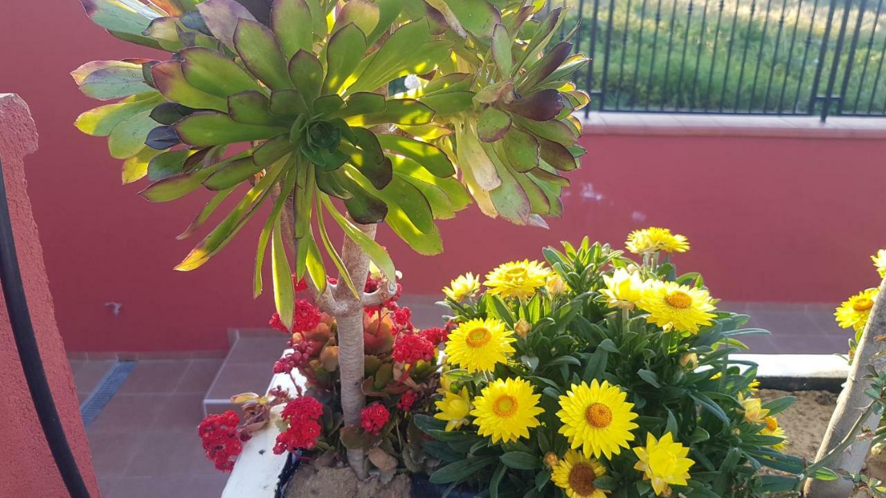 גלה Lilium In B&B מראה חיצוני תמונה